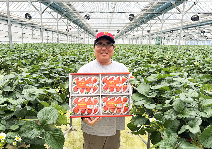 K-딸기, 과실 넘어 기술 수출로 세계 시장 선도하다
