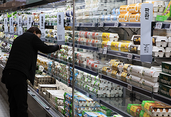 계란 수급 불안 해소, 미국산 신선란 선제 수입으로 소비자 안심