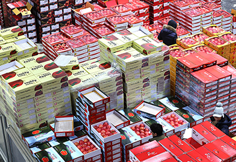 산지 직송 시대, 복잡한 유통 구조를 해체한다