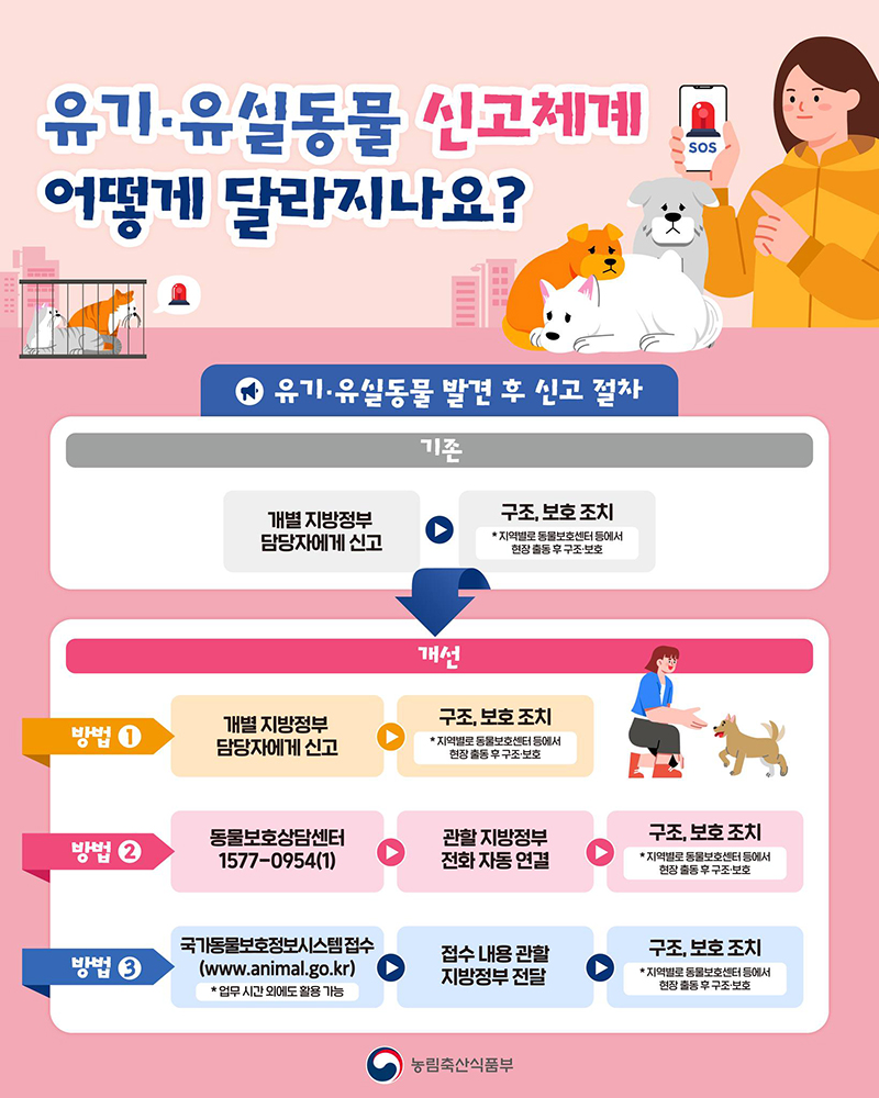 유기동물 신고 전국 단일화 구조 골든타임 확보한다