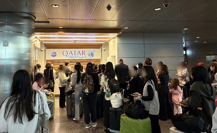 국립산림과학원, 목재자원의 효율적인 관리를 위한 ‘물질흐름분석’ 기반 시스템 구축…탄소 흐름까지 구명